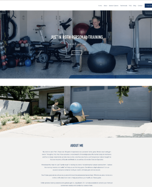 trainer website top google