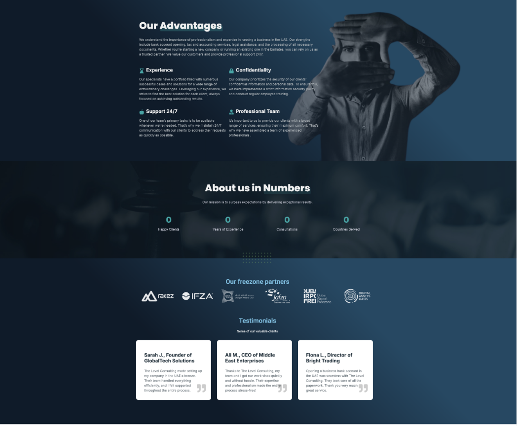 The Level Consulting about us