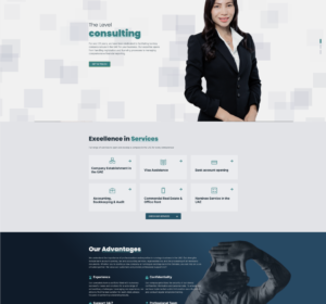 The Level Consulting services