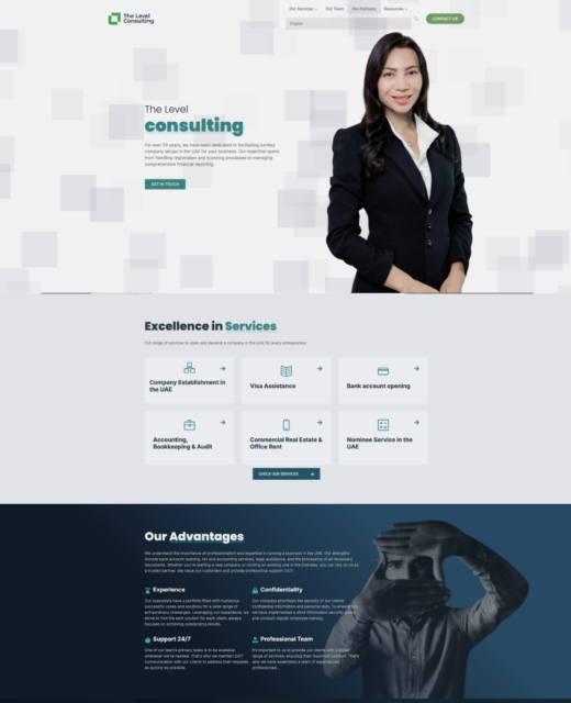 The Level Consulting services