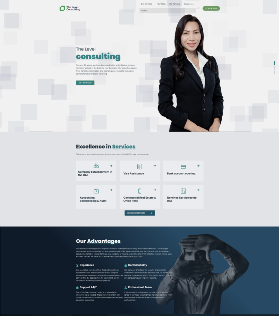 The Level Consulting services