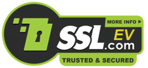 ssl_seal_1_Lenawa_Solutions